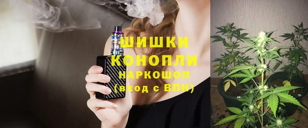 гашик Бородино