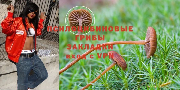 гашик Бородино