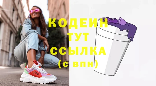 СК Бронницы
