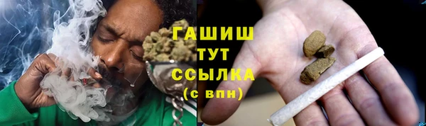 гашик Бородино