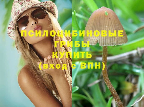 СК Бронницы