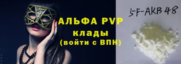 гашик Бородино