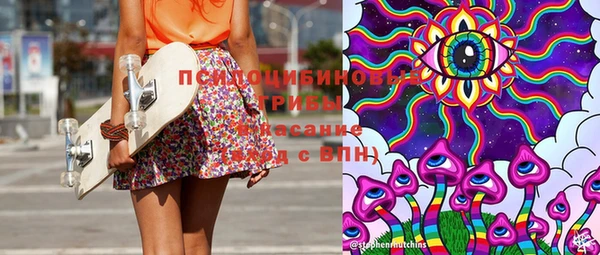 СК Бронницы