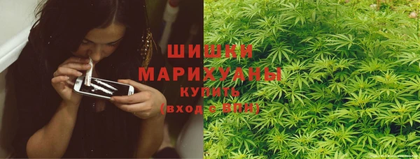 гашик Бородино