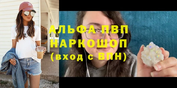 СК Бронницы