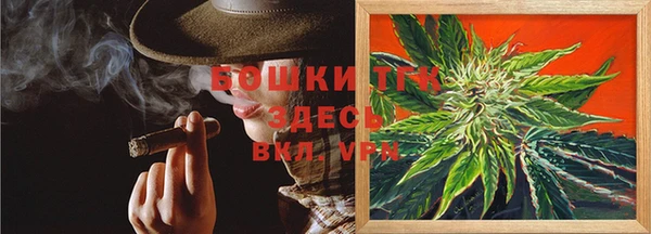 СК Бронницы