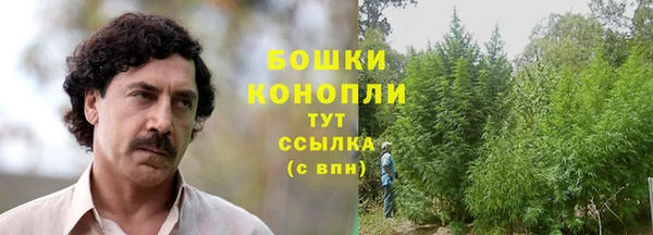 гашик Бородино