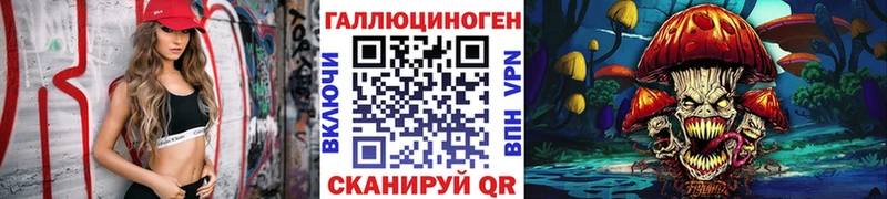 Псилоцибиновые грибы Psilocybine cubensis  Новохопёрск 